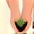 Hand planting seedling icon