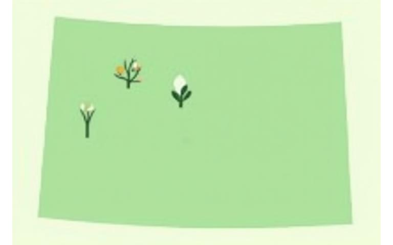 Stylized map showing native plant nursery locations in Colorado